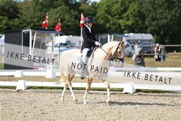 181894_mtp_05_R62_4583.JPG