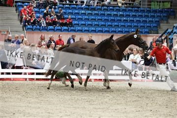 181957_mtp_08_R62_5644.JPG