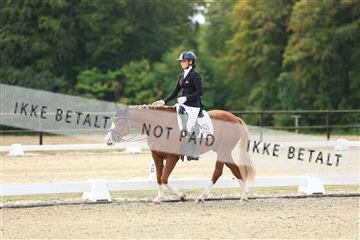 181894_mtp_02_R62_1171.JPG