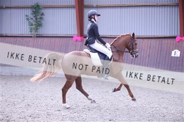 173883_mtp_01_3M5A0432.JPG
