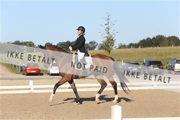 148862_sg_01_IMG_2644.JPG