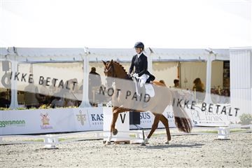 181449_kbb_02_6II0443.JPG