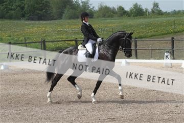 135086_sg_01_IMG_0106.JPG