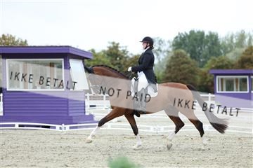 181923_mtp_04_R62_8445.JPG