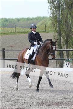 135086_sg_01_IMG_0379.JPG