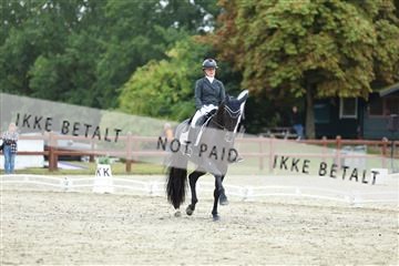181923_mtp_01_R62_6952.JPG