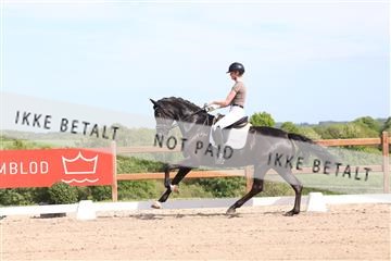 181449_bc_01R62_5894.JPG