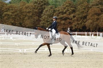 181923_mtp_03_R62_7249.JPG
