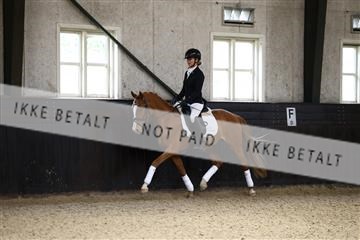 181243_avh_01_1949 (1).JPG