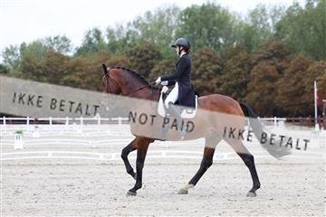 181923_mtp_01_R62_6295.JPG