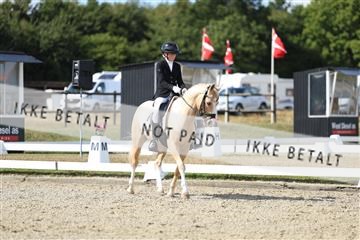 181894_mtp_05_R62_4582.JPG