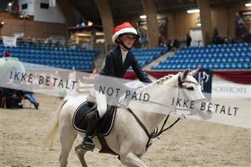 175934_avh_02_7632.JPG