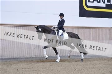 160111_nn_01__ESK1914.JPG