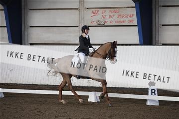 150596_nn_01_IMG_8705.JPG