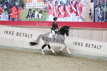 181887_mtp_04_R62_8652.JPG