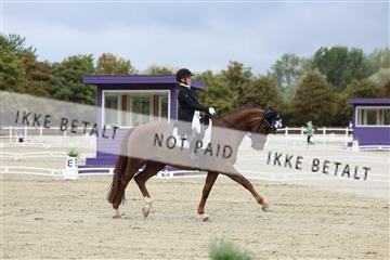 181923_mtp_03_R62_7348.JPG