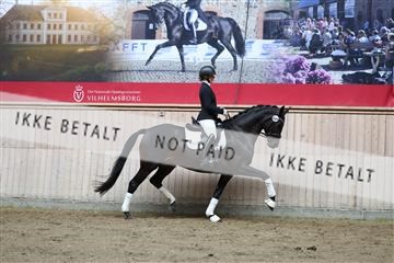 181887_mtp_02_R62_7635.JPG