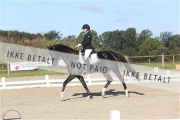 148862_sg_01_IMG_2690.JPG
