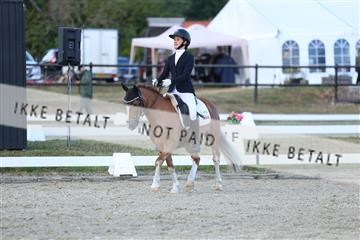 181894_mtp_05_R62_5389.JPG