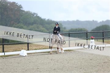 181894_mtp_05_R62_4218.JPG