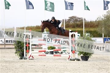 181922_avh_01_1249.JPG