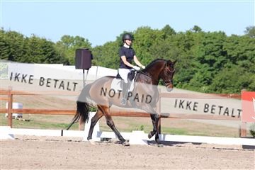 181449_bc_01R62_6230.JPG