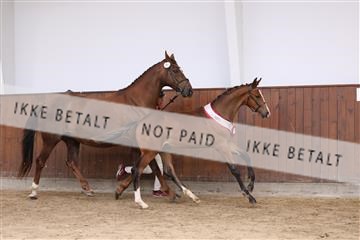 181755_bc_01R62_1537.JPG