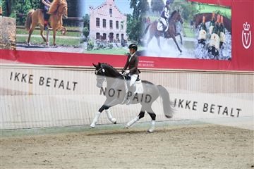 181887_mtp_04_R62_8696.JPG