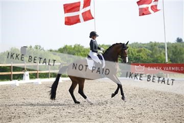 181449_kbb_02_6II1422.JPG