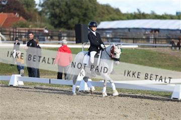 181894_mtp_05_R62_5544.JPG
