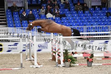 155102_abo_01__D054461.JPG