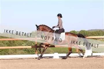 181449_bc_01R62_6486.JPG
