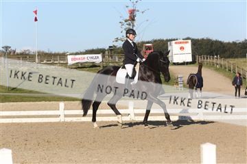 148862_sg_01_IMG_2552.JPG