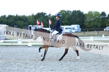 181894_mtp_05_R62_5475.JPG
