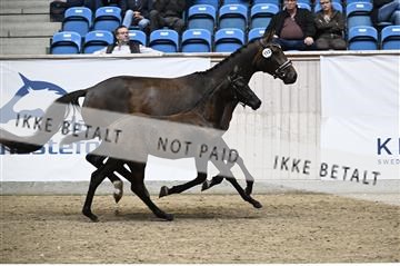 181957_kbb_01_Z097368.JPG