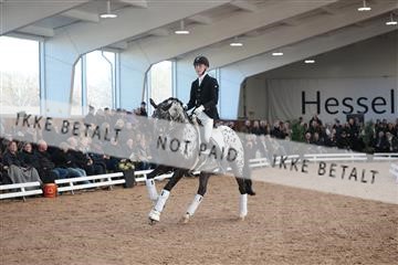 179022_kbb_01_R6II2501.JPG