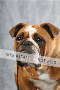 129608_le_ 02_0350.JPG