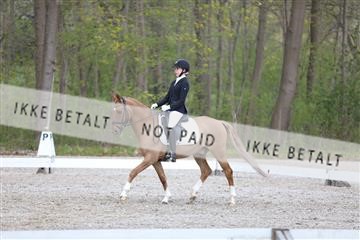 174512_mtp_01_3M5A7176.JPG