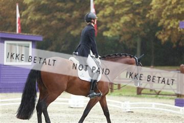 181923_mtp_03_R62_7821.JPG