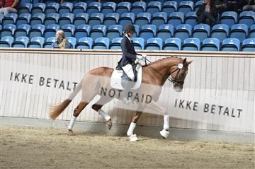 160111_nn_01__ESK2191.JPG