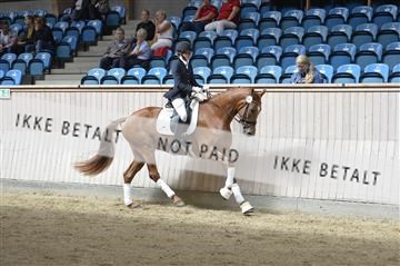 160111_nn_01__ESK2201.JPG