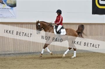 160111_nn_01__ESK1390.JPG