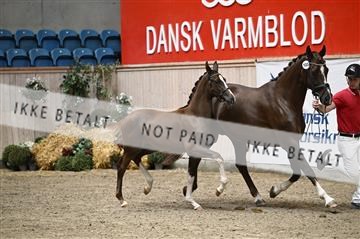 181957_kbb_01_Z097024.JPG
