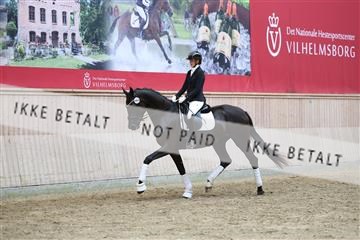 181887_mtp_04_R62_9160.JPG