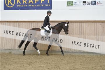 160111_nn_01__ESK1597.JPG