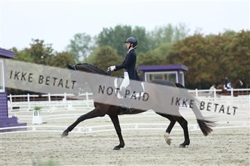 181923_mtp_03_R62_7851.JPG