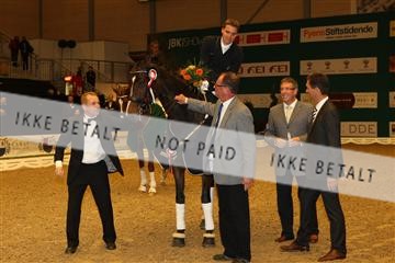 126407_abo_16_IMG_0258.JPG