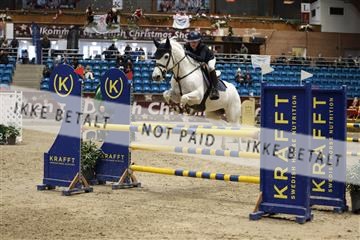 175934_avh_02_7380.JPG