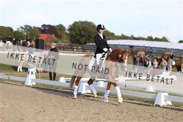 181894_mtp_05_R62_5901.JPG