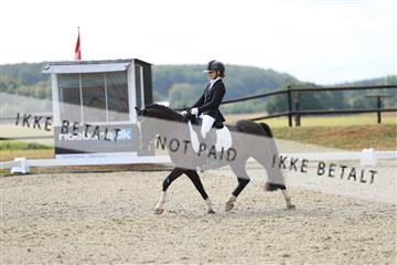 181894_mtp_05_R62_4333.JPG